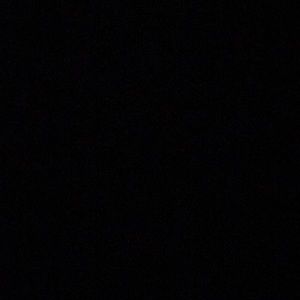 Meet your Posher, Ryder